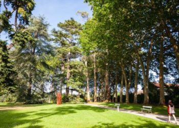 Foro y PP vuelven a congelar los impuestos, tasas y precios públicos de 2026 con el rechazo de la izquierda