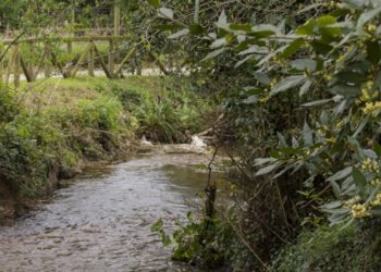 Nuevo Roces interpela directamente a Moriyón: «Nos preocupa la falta de conexión con la senda del Piles»