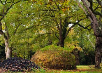 «Somos capaces de mejorar los servicios públicos sin exigir más al bolsillo de los gijoneses», se defiende el Gobierno