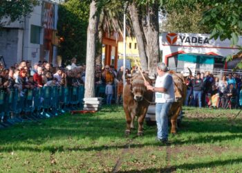 ¿Quieres acudir a AGROPEC de la mano de Gijón Impulsa? Pues… ¡Corre, que el tiempo se agota!