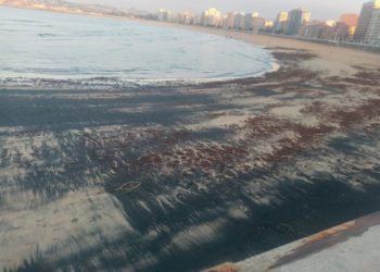 La marea negra vuelve a invadir la playa de San Lorenzo