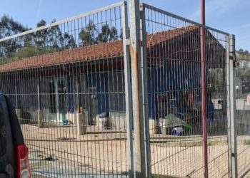 Vecinos y animalistas reclaman una mejor conexión con el Albergue de Serín: «O tienes coche, o no llegas»