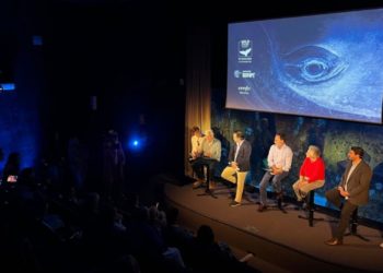 ¿Un cine variado, comprometido con los mares… Y de Oscar? Esa es la premisa del IV Wild Oceans Film Fest