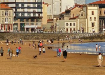 Se fue el verano… ¡Y los perros vuelven a correr libres por (una parte de) San Lorenzo!