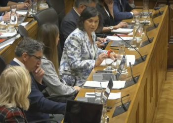 Vox se queda solo en su intento de reprobar a la edil de Cultura por el Plan de Normalización Llingüística