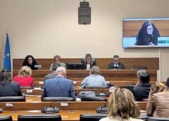 El Principado avisa: el Museo Piñole podría perder su estatus si se traslada la colección sin garantías