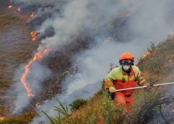 Victorias en la cruzada contra el fuego: dan por controlado el incendio de Llonín, uno de los cinco registrados en Asturias