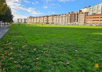 Podemos reaviva la batalla por el ‘Solarón’ y alerta de que más del 66% de la población rechaza edificar allí