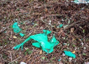 El proyecto LIBERA moviliza a 45 voluntarios para limpiar varios entornos fluviales de Asturias