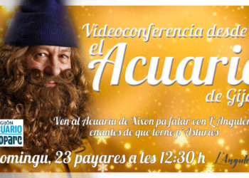 L’Anguleru yá tien fecha pa viaxar a Asturies y la so salida va poder siguise dende l’Acuariu