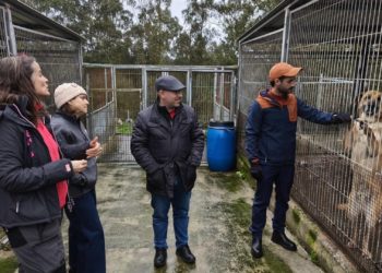 El Gobierno local reserva más de un millón de euros para poner a punto el Albergue de Animales de Serín