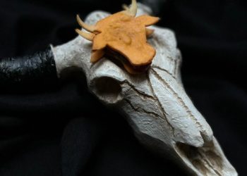 ¡A la caza del mejor bocadito de la región! Regresa el Campeonato de Pinchos y Tapas de Asturias