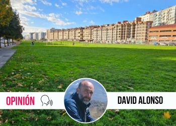 Esto no va de árboles