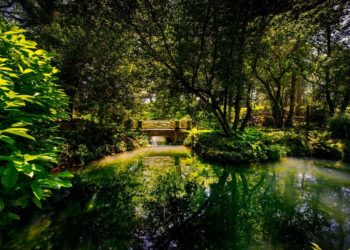 Una compra, dos debates abiertos: La Isla y el futuro incierto de Naval Azul