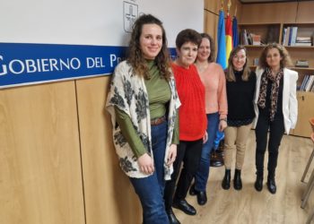 Educación inicia en Oviedo una estrategia pionera para mejorar la inclusión del alumnado con autismo