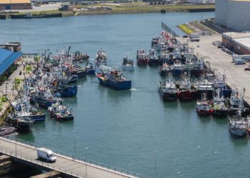 El dulce año de la lonja de Gijón: cerró 2025 vendiendo casi la mitad del pescado subastado en Asturias