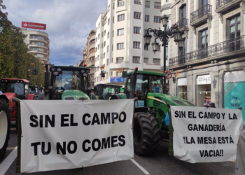 ¿Qué es el acuerdo Mercosur? ¿Por qué el campo asturiano se moviliza contra él este viernes?