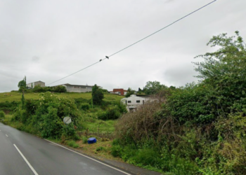 Dos caballos muertos por hambre y sed en Gijón: una persona está siendo investigada por el SEPRONA