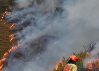 Asturias sufre 33 incendios forestales en 14 concejos