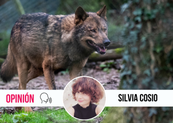 Bienvenidos a la Gran Extinción Asturiana