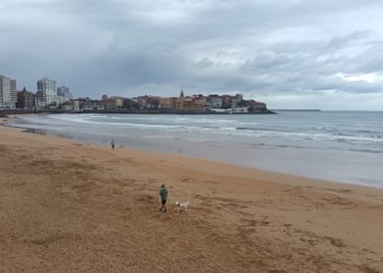 El posible acceso de perros a la playa en verano reabre el debate: del «me parece perfecto» al «tienen más derechos que las personas»