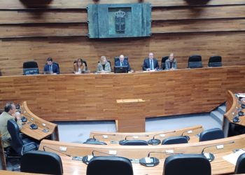 La Xunta Xeneral encamienta al Gobiernu a solicitar al ministeriu la creación de la especialidá docente d’asturianu