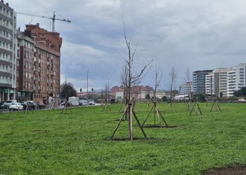 El PP acusa a Foro y a la oposición de «bochornosa complicidad» tras la desautorización del bosque urbano del Solarón