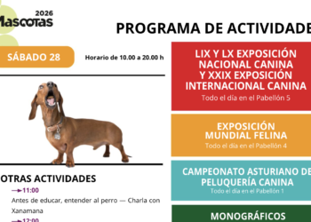 Perros de élite, gatos de exposición y mucho más en Espacio Mascotas 2026