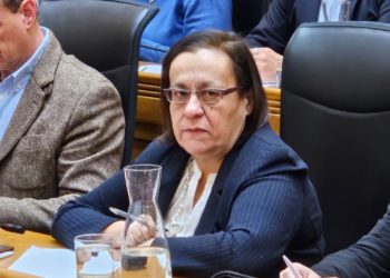 El Pleno en bloque arropa a Natalia González en el día de su despedida: «Gracias infinitas por tu trabajo y por tu tono»