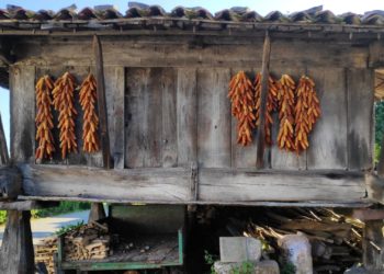 Es oficial: los hórreos asturianos serán Manifestación Representativa del Patrimonio Cultural Inmaterial