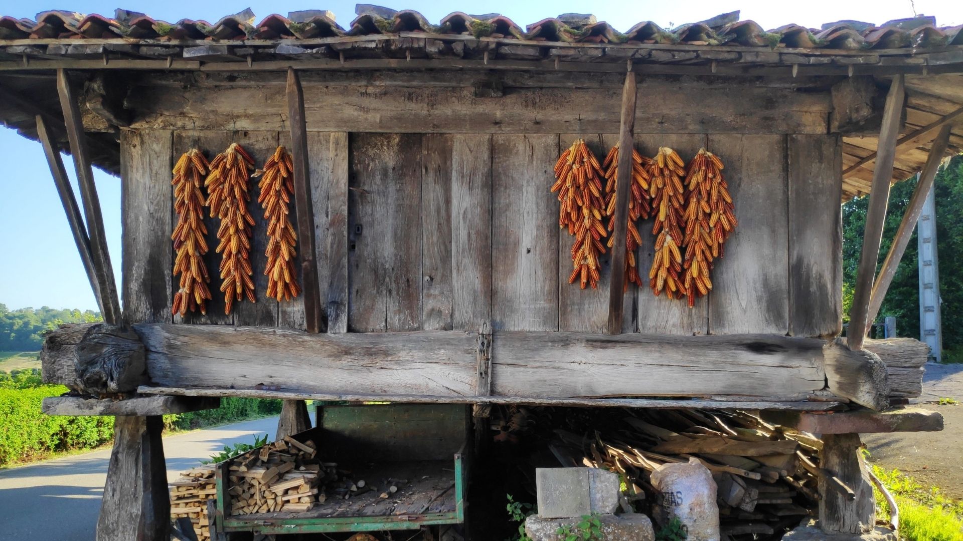 Imagen extraída de MiGijón.com Imagen extraída de MiGijón.com