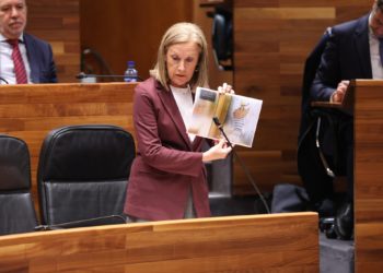 El PP asegura que la premiada humanización de Cabueñes es «de escaparate»