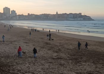 El Principado precisa que el acceso de los perros a la playa «es de exclusiva competencia municipal»