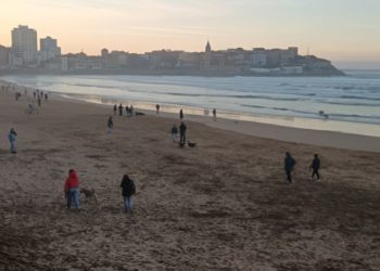 Gijón encara la recta final de su nueva ordenanza de animales en pleno debate sobre las playas para perros