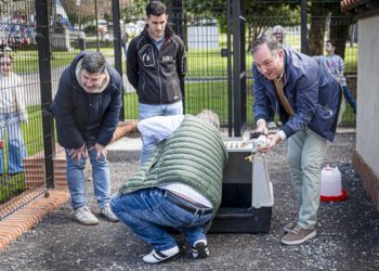 Reabre con ejemplares de ‘pita pinta’ el aviario de Villaviciosa en el parque de La Ballina