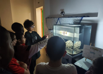 El ‘BioAcuario de tiburones’ llega al CP Rey Pelayo