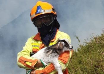 Asturias amanece este jueves con catorce incendios forestales ardiendo en su territorio