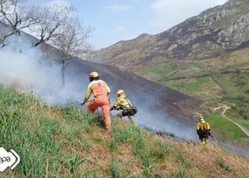 Los incendios forestales bajan a diecinueve en Asturias, con doce activos, tras una larga noche de lucha contra el fuego