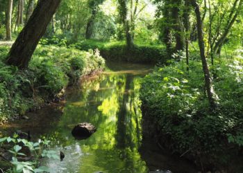 Consistorio y Ministerio dan por finalizada la campaña de mantenimiento de cauces, con 53 actuaciones: «Son cifras excelentes»