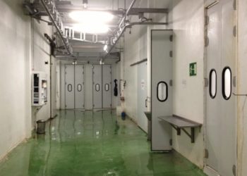 Mirar al extranjero y ser centro del norte nacional, claves del matadero de Gijón en esta nueva etapa