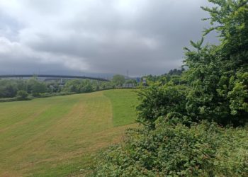 El Ayuntamiento da conformidad al proyecto de urbanización para la construcción de un centenar de viviendas en La Coría