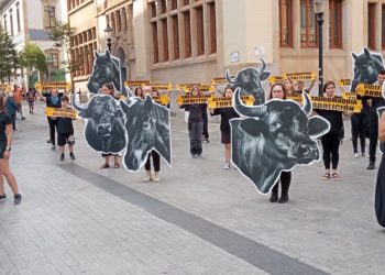 «Queremos que los menores estén protegidos de la violencia de la tauromaquia», demanda Asturies Antitaurina