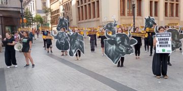 «Queremos que los menores estén protegidos de la violencia de la tauromaquia», demanda Asturies Antitaurina