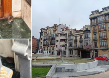 Una rata ‘se hace fuerte’ en un portal de la avenida de El Llano: «Tenemos miedo a que se nos metan en casa»