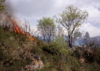 Más buenas nuevas en la cruzada contra los incendios forestales: solo tres continúan activos en Asturias