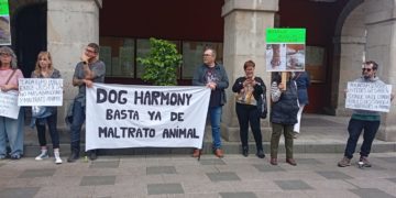 La protesta por la gestión del albergue de animales llega también a Mieres: «Están en un sitio oscuro, frío y destartalado»