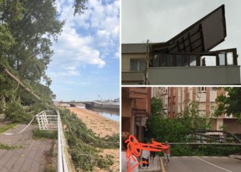 Árboles tumbados, techos arrancados, contenedores movidos… El fuerte viento causa estragos en Gijón