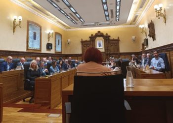 «Cumplir 70 años no puede significar dejarnos fuera», clama la FAV en el Pleno, poniendo en el foco al PDM