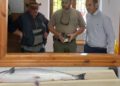Un mes esperando por el ‘campanu’: el primer salmón de la temporada se deja ‘caer’ por Cangas de Onís