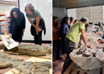 Asturias busca nombre para su nuevo gigante prehistórico